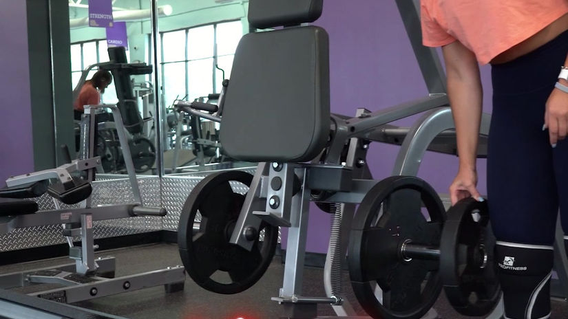 Knee Sleeves - Kaylee Hayton